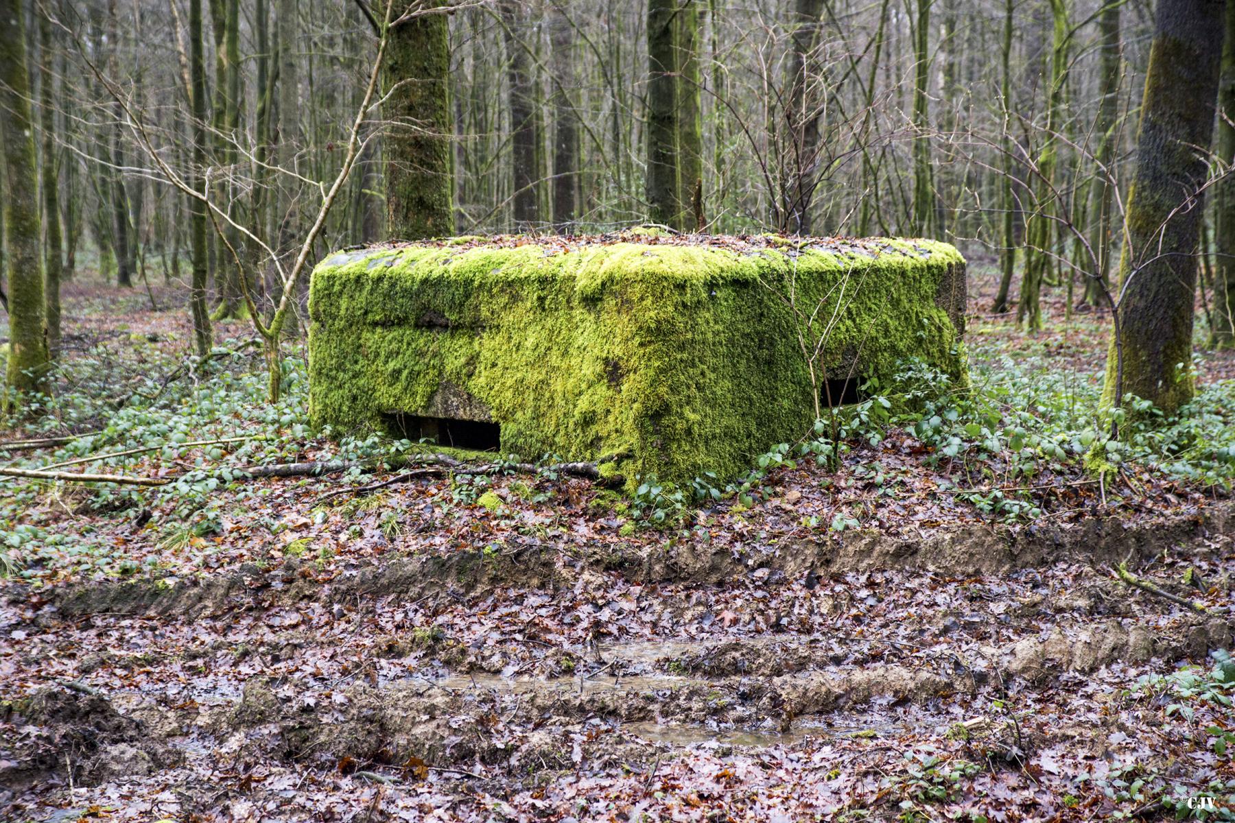 Ligne Maginot - BA23 - ROUTE FORESTIÈRE MEUNIER SUD - (Blockhaus pour arme infanterie) -  - Lia VERMEULEN
