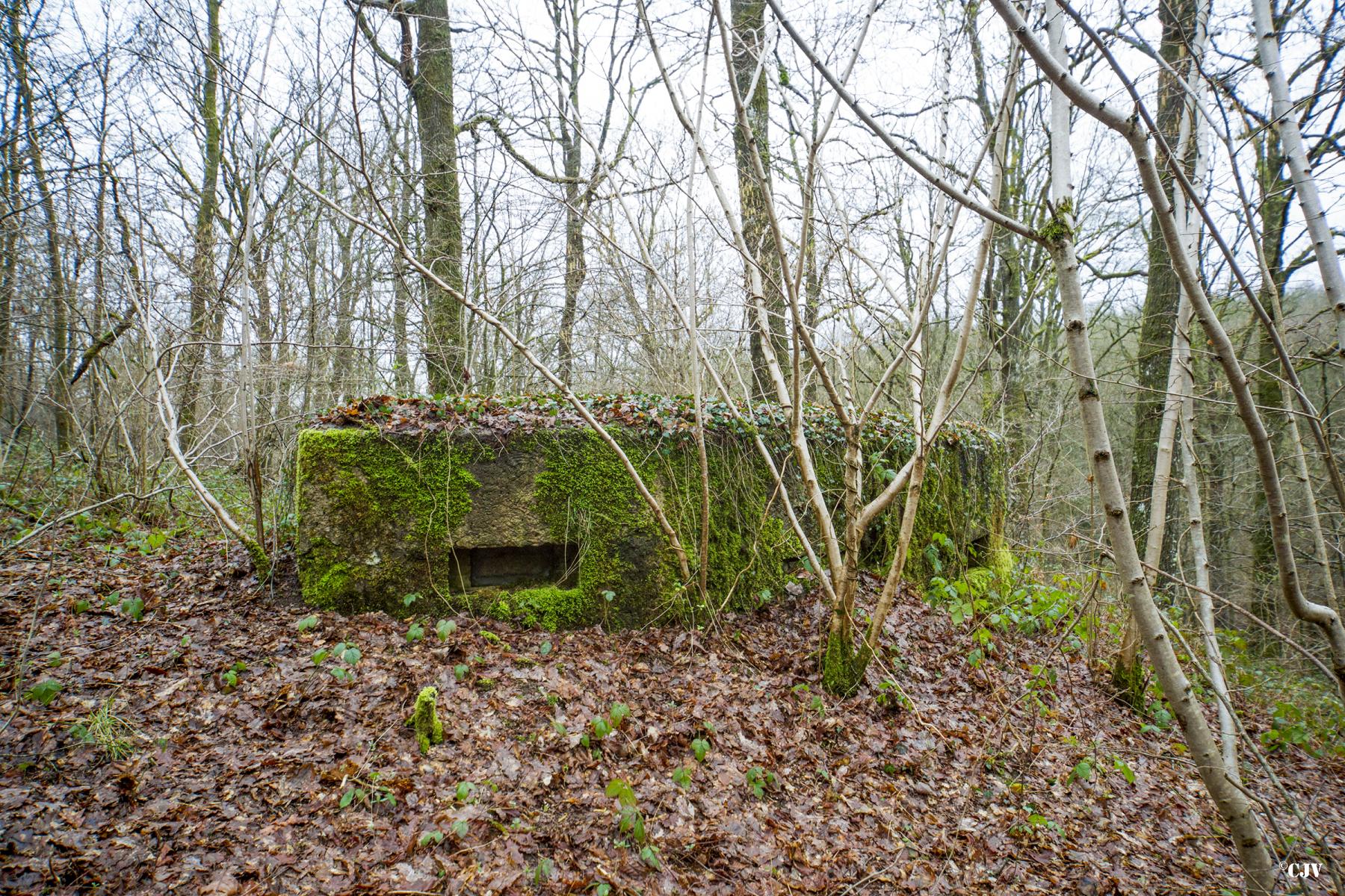 Ligne Maginot - BA24 - ROUTE DU MILIEU - (Blockhaus pour canon) -  - Lia VERMEULEN