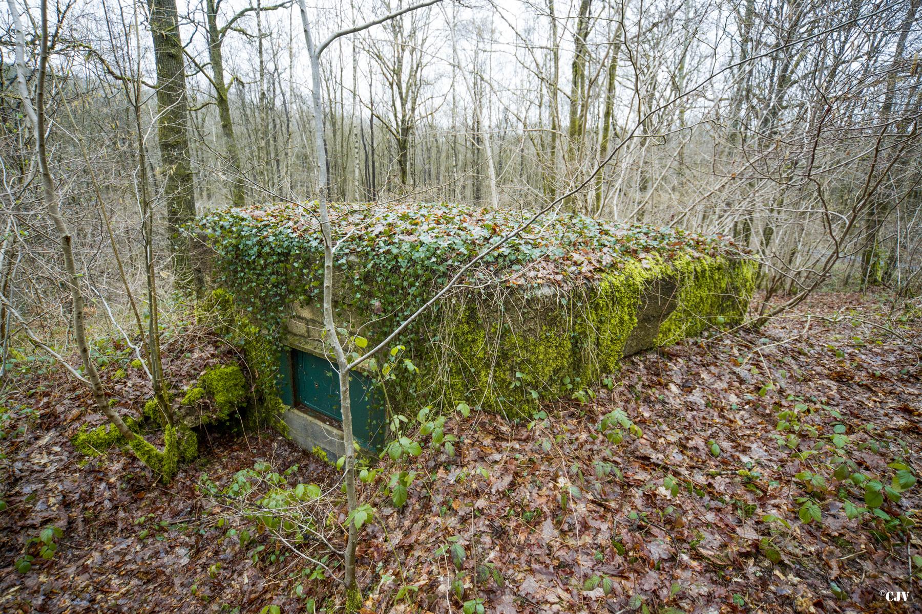 Ligne Maginot - BA24 - ROUTE DU MILIEU - (Blockhaus pour canon) -  - Lia VERMEULEN