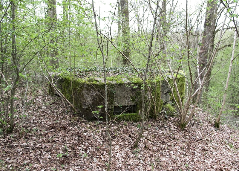 Ligne Maginot - BA24 - ROUTE DU MILIEU - (Blockhaus pour canon) -  - François MATHOT 