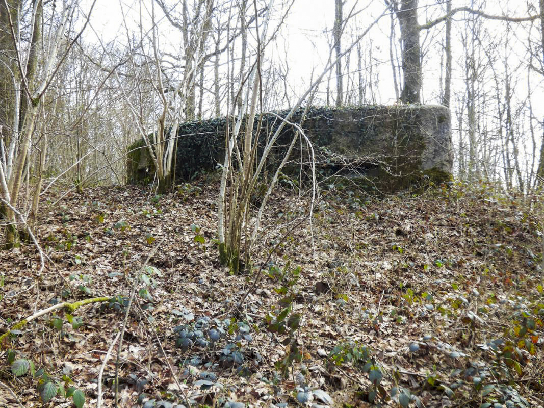 Ligne Maginot - BA24 - ROUTE DU MILIEU - (Blockhaus pour canon) -  - JMBrams