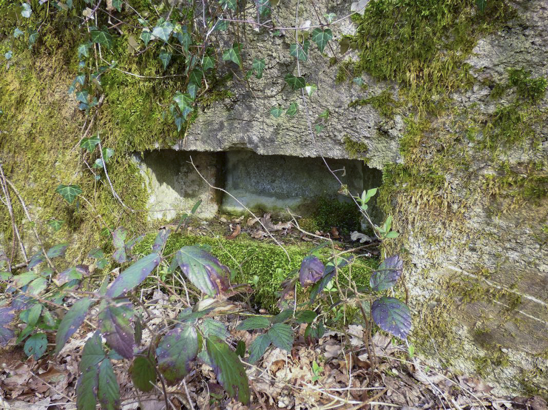 Ligne Maginot - BA24 - ROUTE DU MILIEU - (Blockhaus pour canon) -  - JMBrams