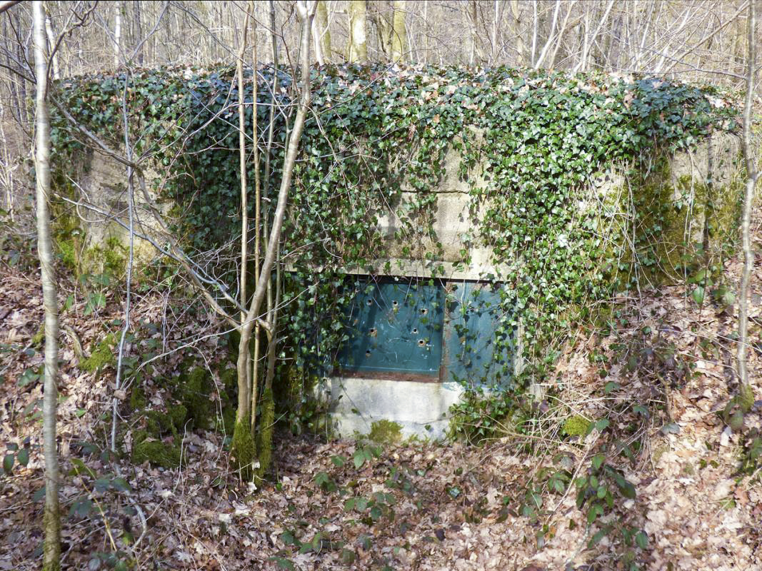 Ligne Maginot - BA24 - ROUTE DU MILIEU - (Blockhaus pour canon) -  - JMBrams