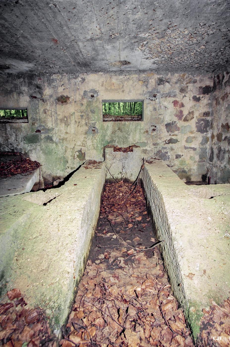 Ligne Maginot - BA25 - ISAIE OUEST - (Blockhaus pour canon) -  - Caspar Vermeulen