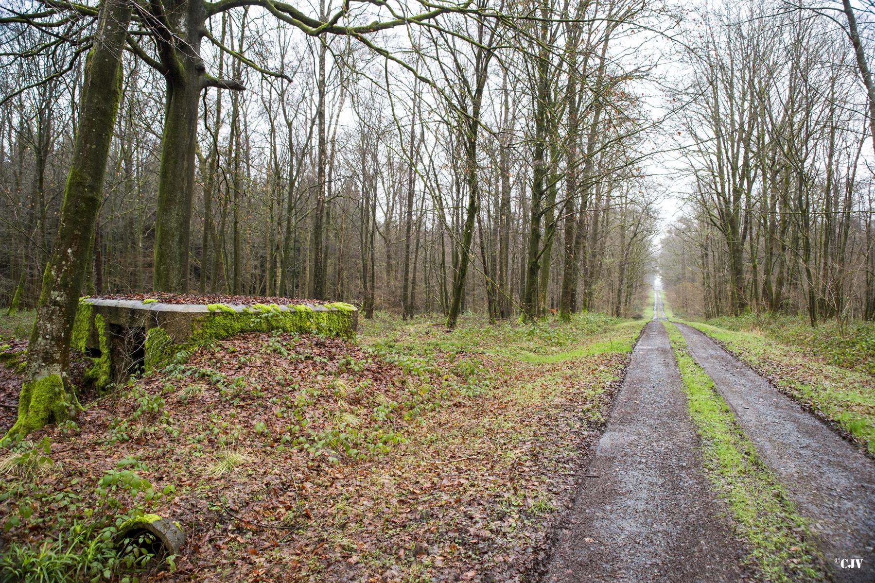 Ligne Maginot - BA25 - ISAIE OUEST - (Blockhaus pour canon) -  - Lia VERMEULEN