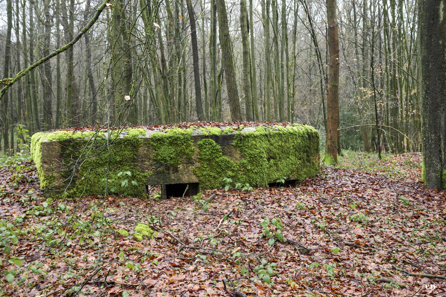 Ligne Maginot - BA25 - ISAIE OUEST - (Blockhaus pour canon) -  - Lia VERMEULEN
