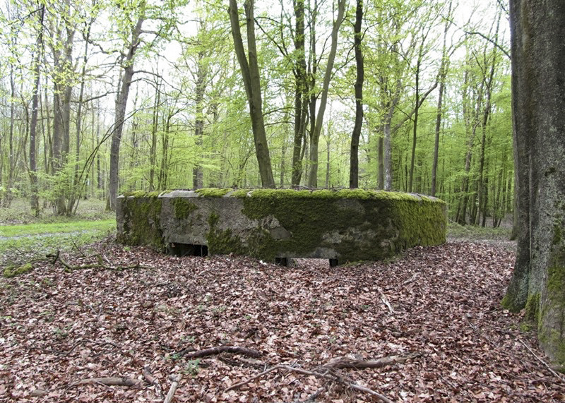 Ligne Maginot - BA25 - ISAIE OUEST - (Blockhaus pour canon) -  - François MATHOT