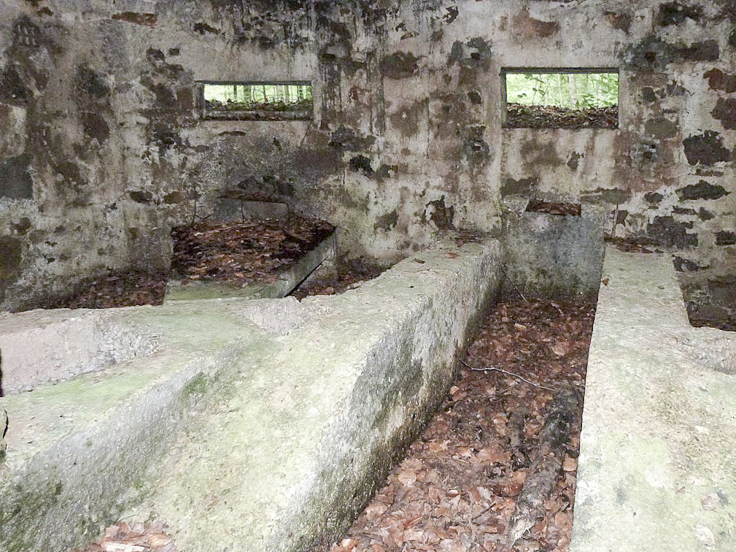 Ligne Maginot - BA25 - ISAIE OUEST - (Blockhaus pour canon) -  - JMBrams