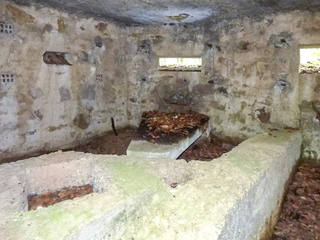 Ligne Maginot - BA25 - ISAIE OUEST - (Blockhaus pour canon) -  - JMBrams