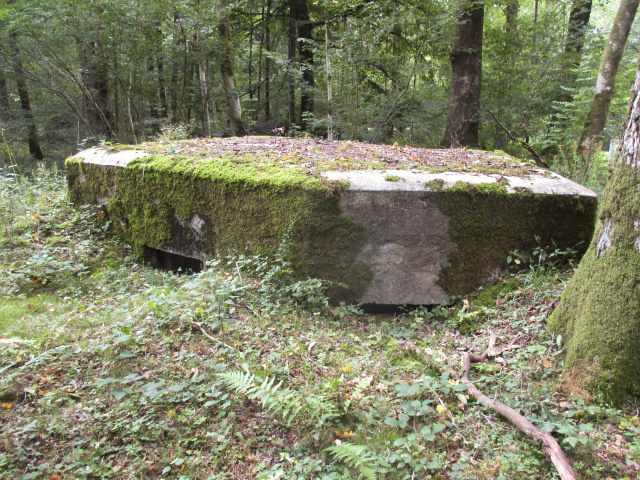 Ligne Maginot - BA26 - ISAIE EST - (Blockhaus pour canon) -  - Randonneur62