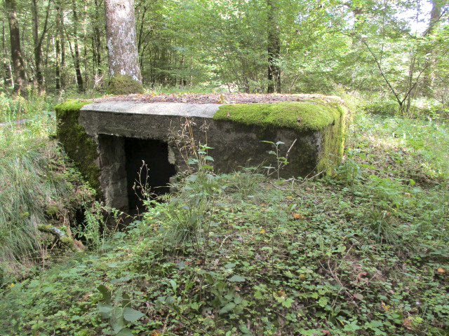 Ligne Maginot - BA26 - ISAIE EST - (Blockhaus pour canon) -  - Randonneur62