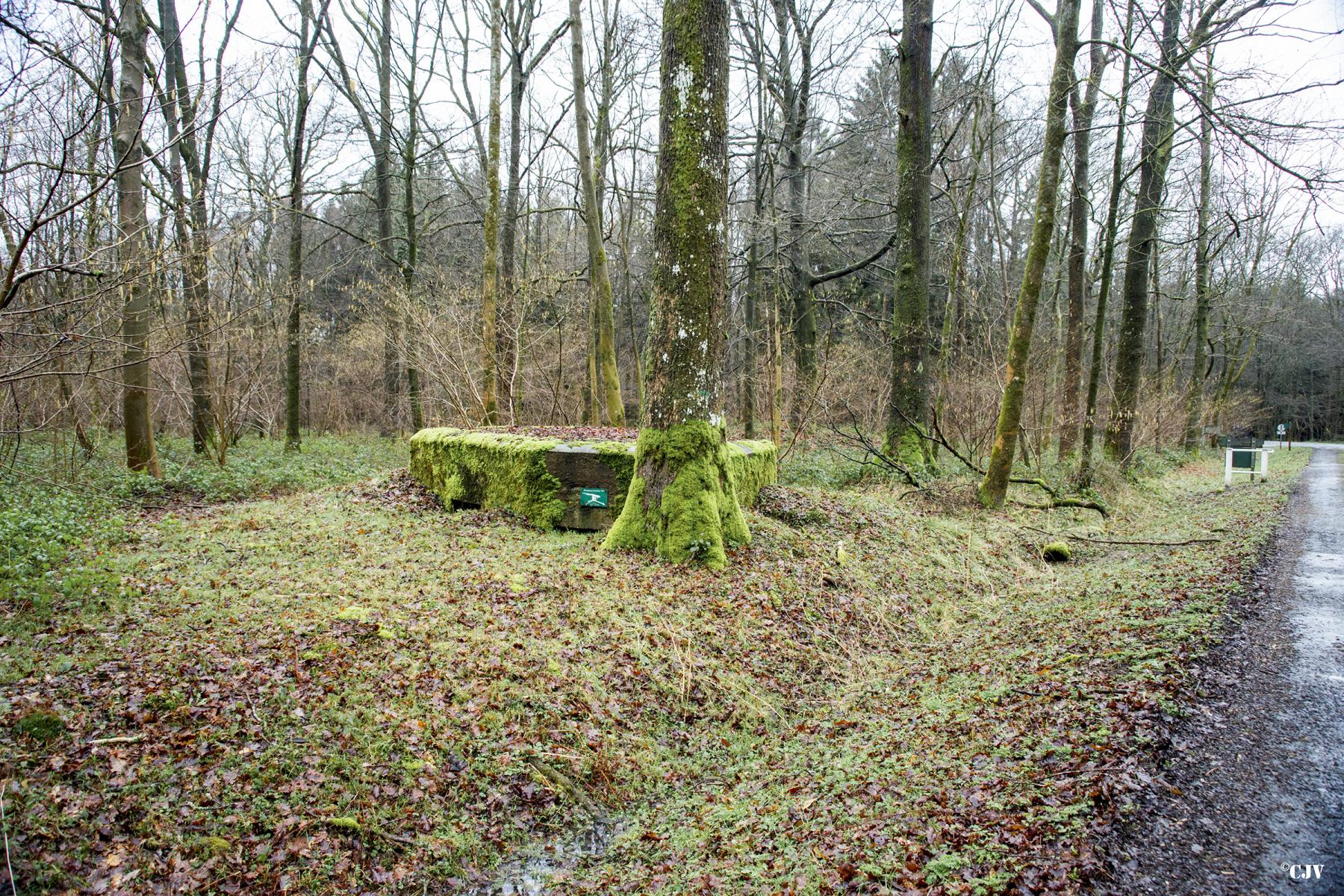 Ligne Maginot - BA26 - ISAIE EST - (Blockhaus pour canon) -  - Lia VERMEULEN