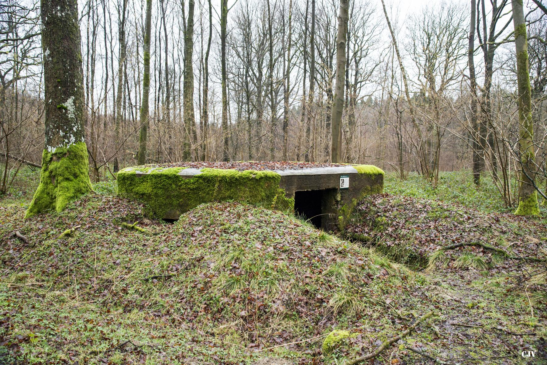Ligne Maginot - BA26 - ISAIE EST - (Blockhaus pour canon) -  - Lia VERMEULEN