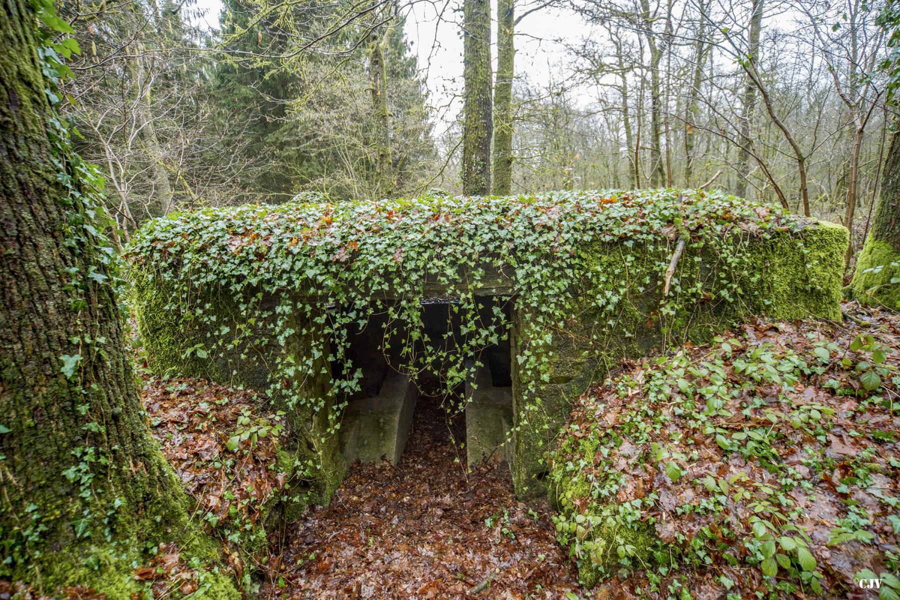 Ligne Maginot - BA27 - WATIGNY NORD - (Blockhaus pour canon) -  - Lia VERMEULEN