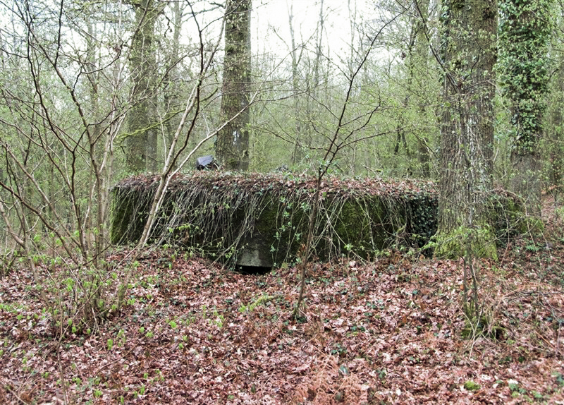 Ligne Maginot - BA27 - WATIGNY NORD - (Blockhaus pour canon) -  - François MATHOT