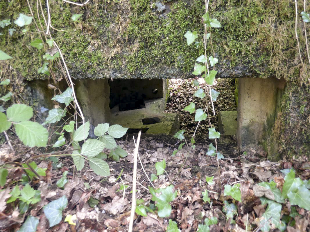 Ligne Maginot - BA27 - WATIGNY NORD - (Blockhaus pour canon) -  - JMBrams