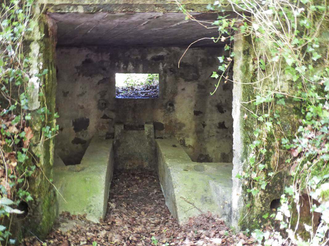 Ligne Maginot - BA27 - WATIGNY NORD - (Blockhaus pour canon) -  - JMBrams