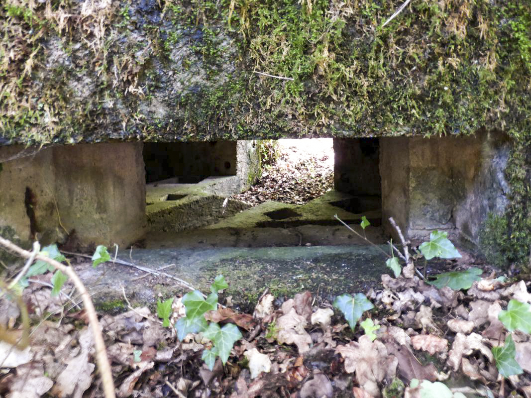 Ligne Maginot - BA27 - WATIGNY NORD - (Blockhaus pour canon) -  - JMBrams