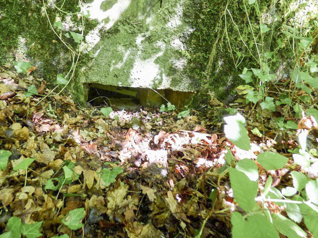 Ligne Maginot - BA27 - WATIGNY NORD - (Blockhaus pour canon) -  - JMBrams