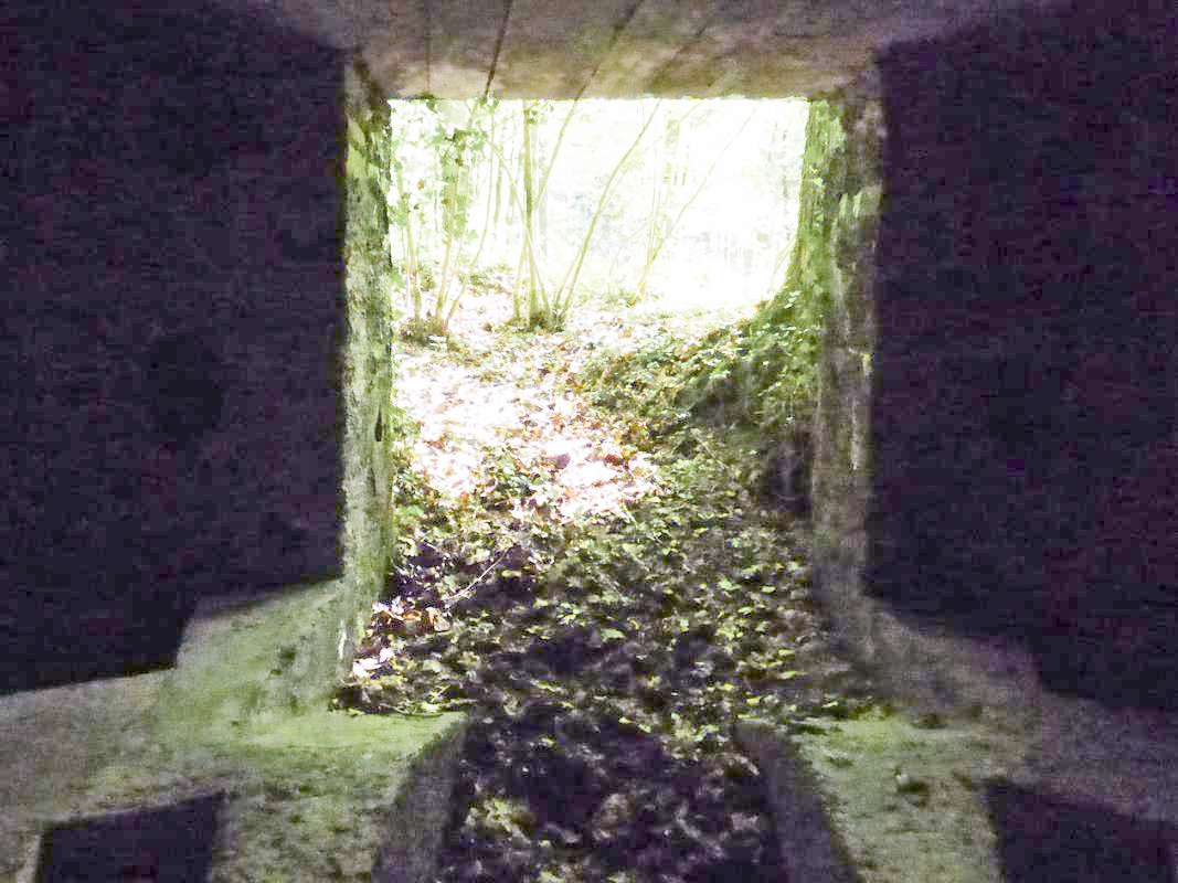 Ligne Maginot - BA27 - WATIGNY NORD - (Blockhaus pour canon) -  - JMBrams