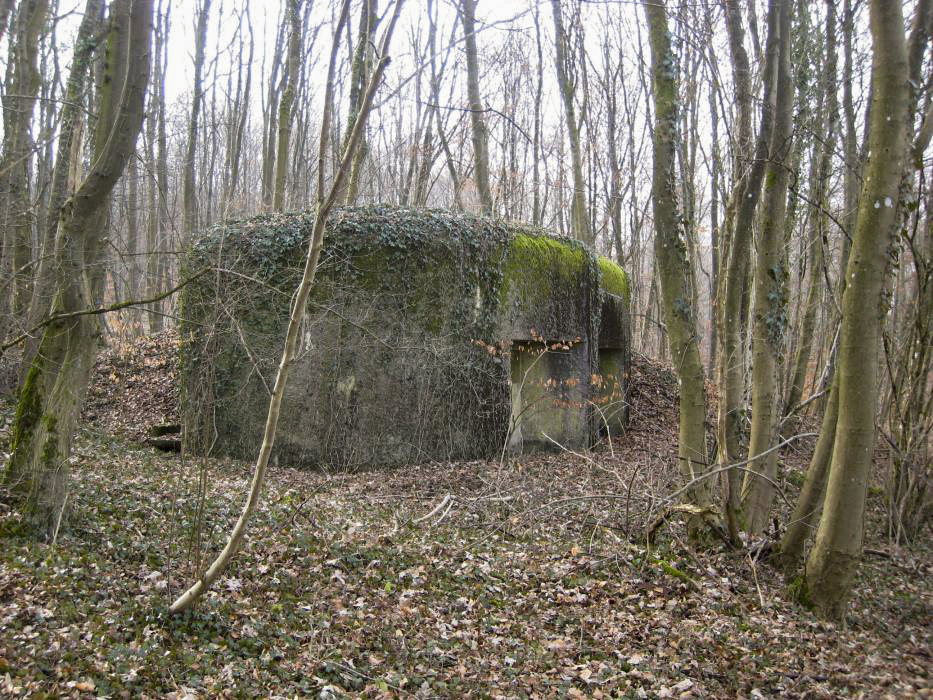 Ligne Maginot - DB27 - (Blockhaus pour canon) -  - Pruzsina jerome