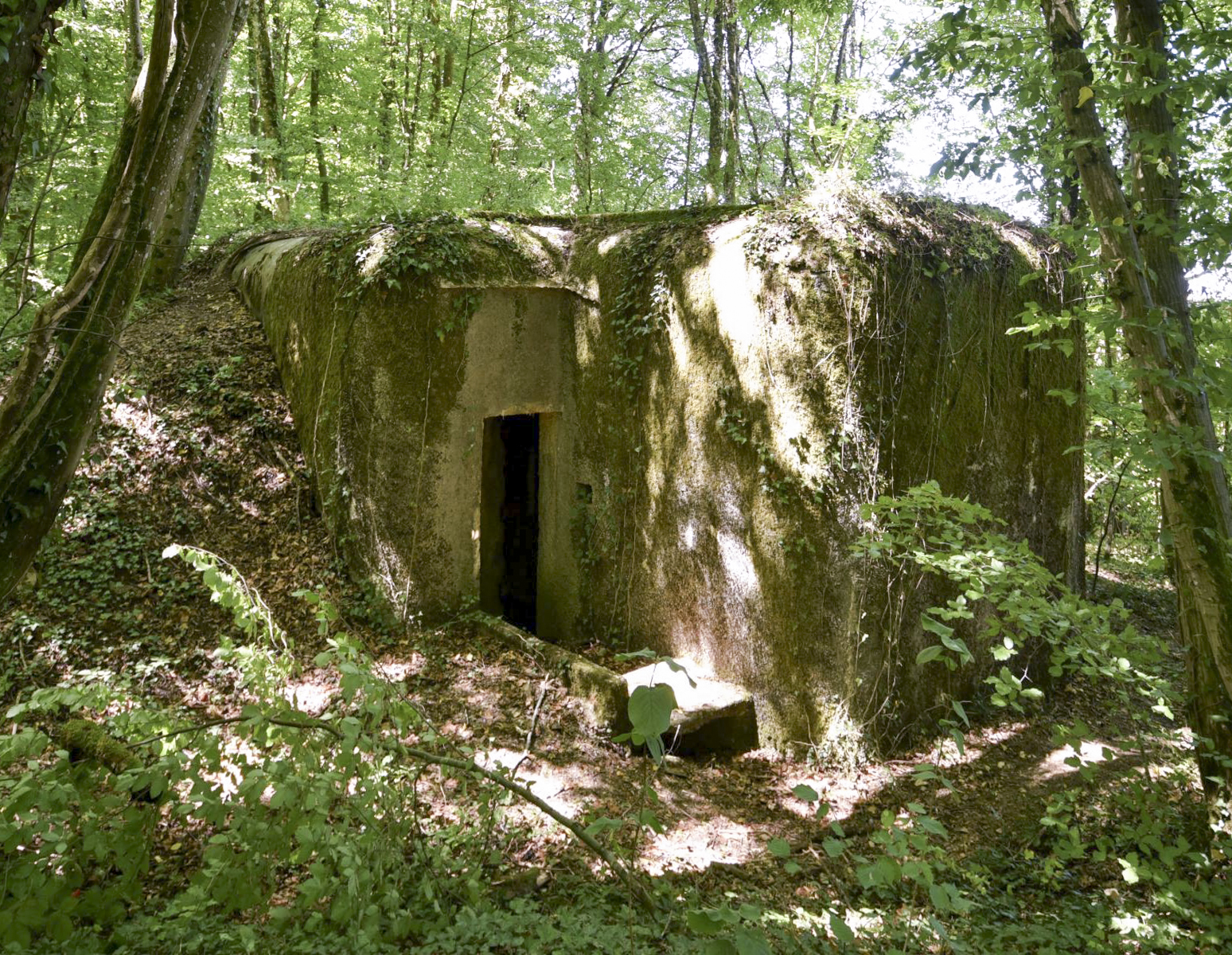 Ligne Maginot - DB27 - (Blockhaus pour canon) -  - Ludovic KNAPP