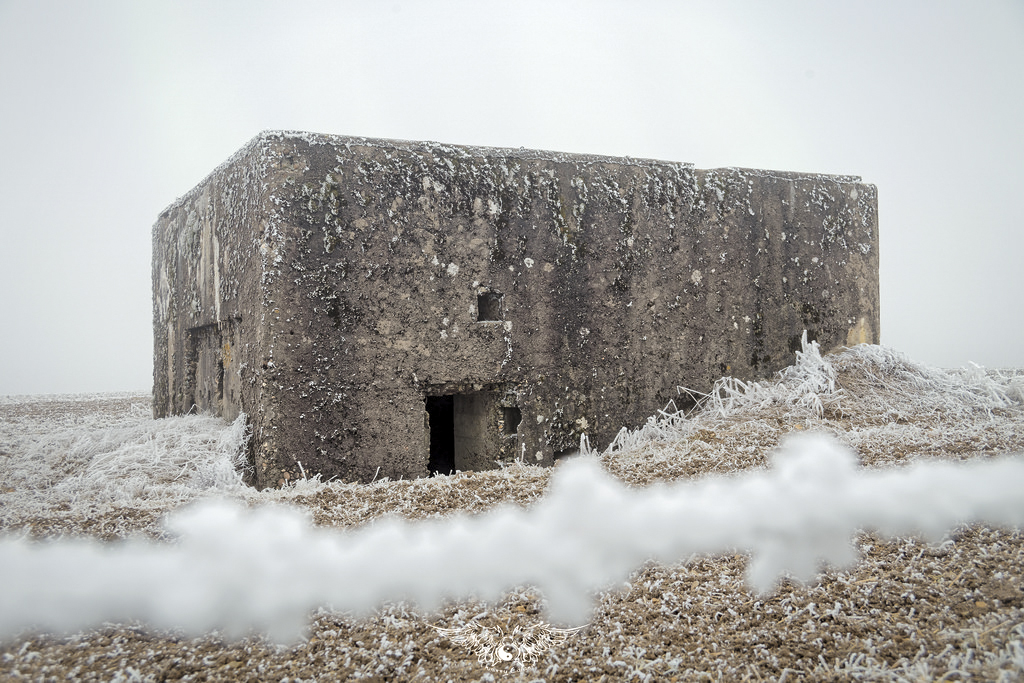 Ligne Maginot - DB344 - LES PUJOLS - (Blockhaus pour arme infanterie) -  - Thierry Caland