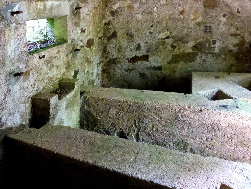 Ligne Maginot - BA29 - WATIGNY EST - (Blockhaus pour canon) -  - JMBrams