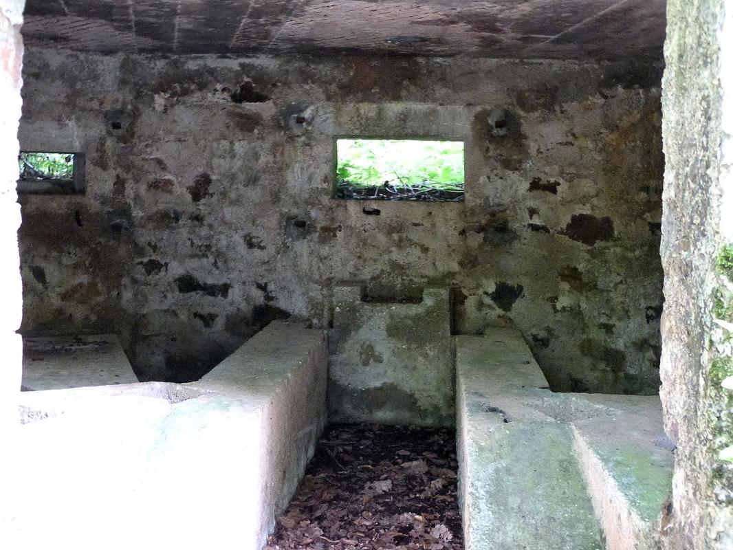 Ligne Maginot - BA29 - WATIGNY EST - (Blockhaus pour canon) -  - JMBrams