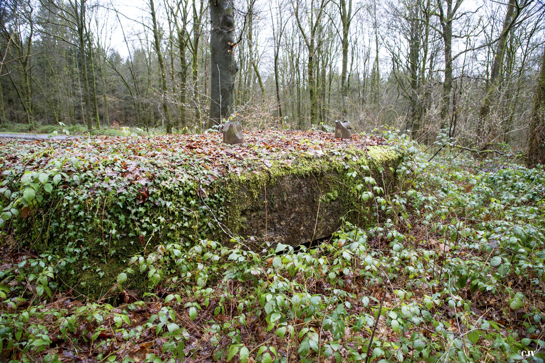 Ligne Maginot - BA29 - WATIGNY EST - (Blockhaus pour canon) -  - Lia VERMEULEN