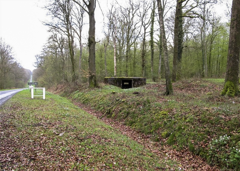 Ligne Maginot - BA29 - WATIGNY EST - (Blockhaus pour canon) -  - François MATHOT