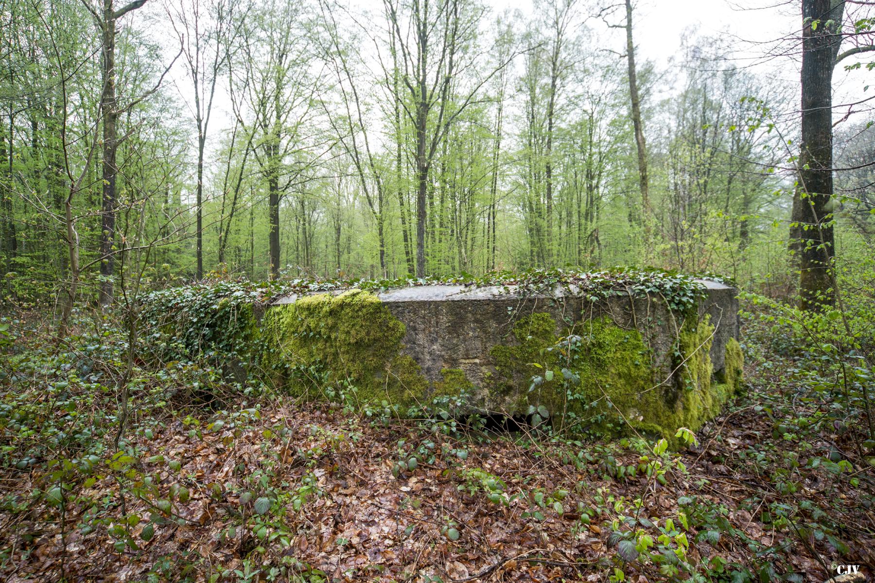 Ligne Maginot - BA30 - ROUTE DE CENDRON - (Blockhaus pour canon) -  - Lia VERMEULEN