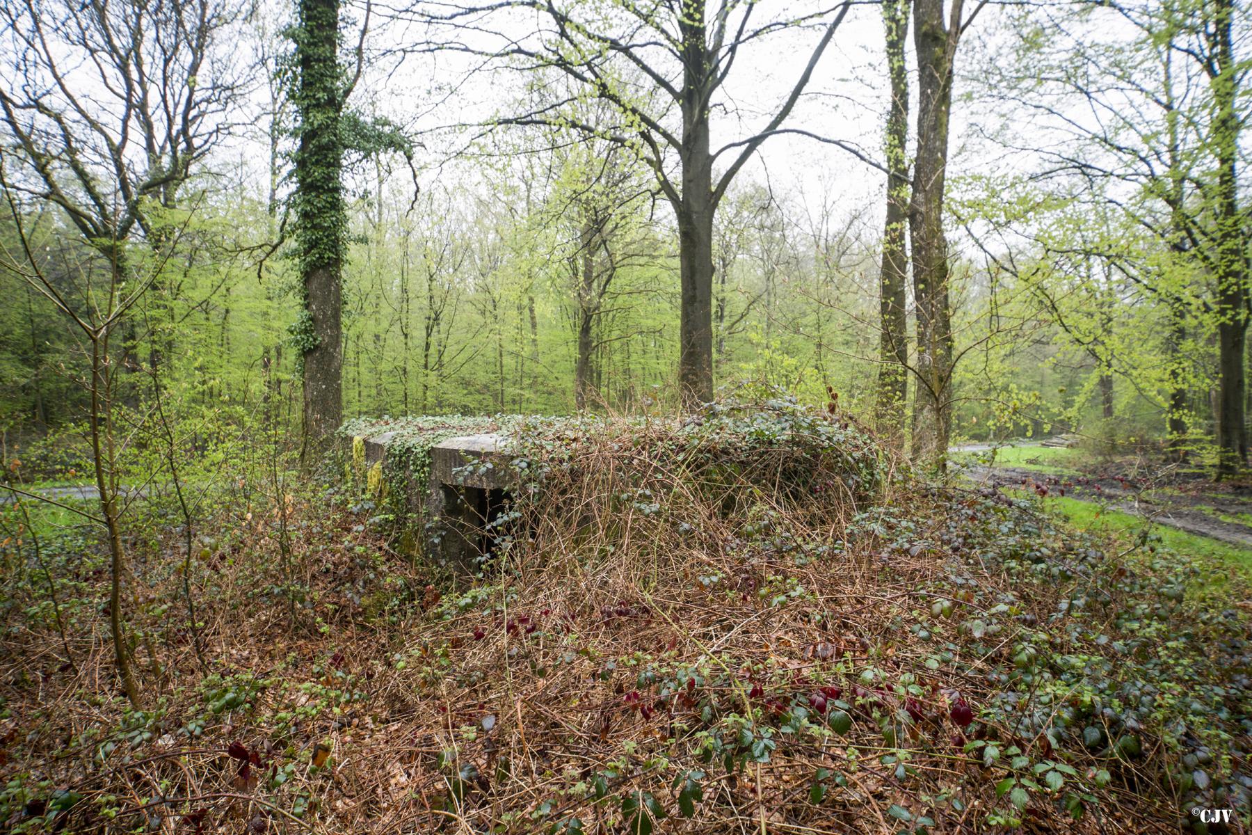 Ligne Maginot - BA30 - ROUTE DE CENDRON - (Blockhaus pour canon) -  - Lia VERMEULEN