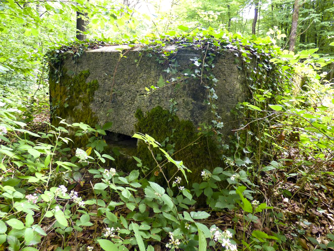 Ligne Maginot - BA30 - ROUTE DE CENDRON - (Blockhaus pour canon) -  - JMBrams