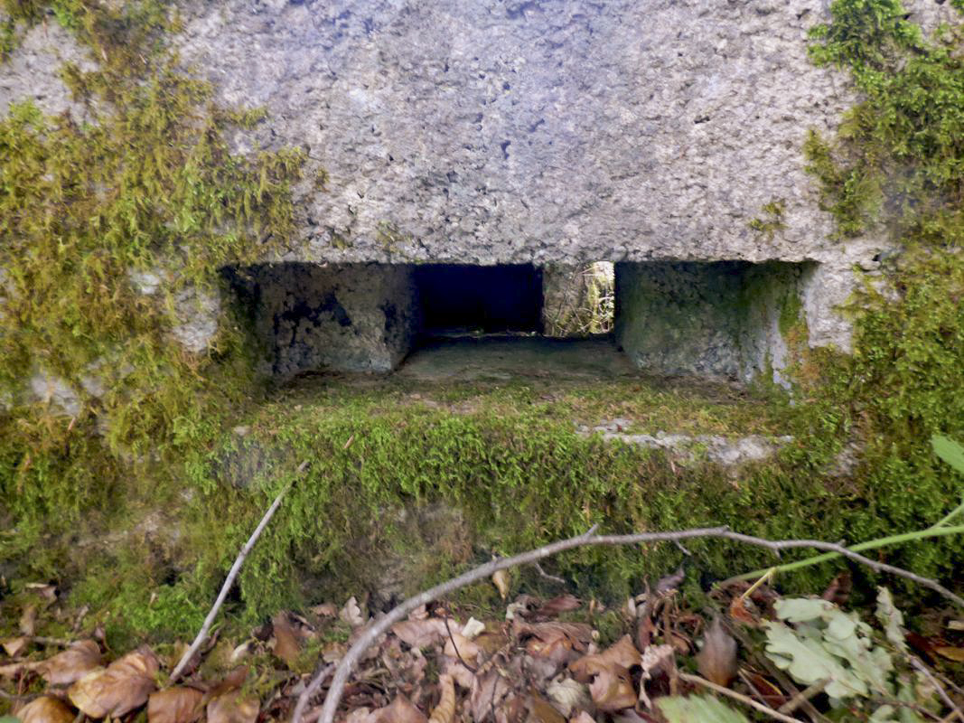 Ligne Maginot - BA30 - ROUTE DE CENDRON - (Blockhaus pour canon) -  - JMBrams
