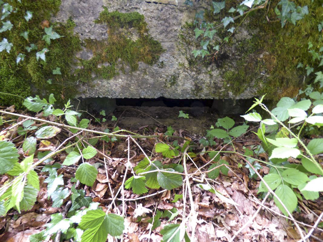 Ligne Maginot - BA30 - ROUTE DE CENDRON - (Blockhaus pour canon) -  - JMBrams