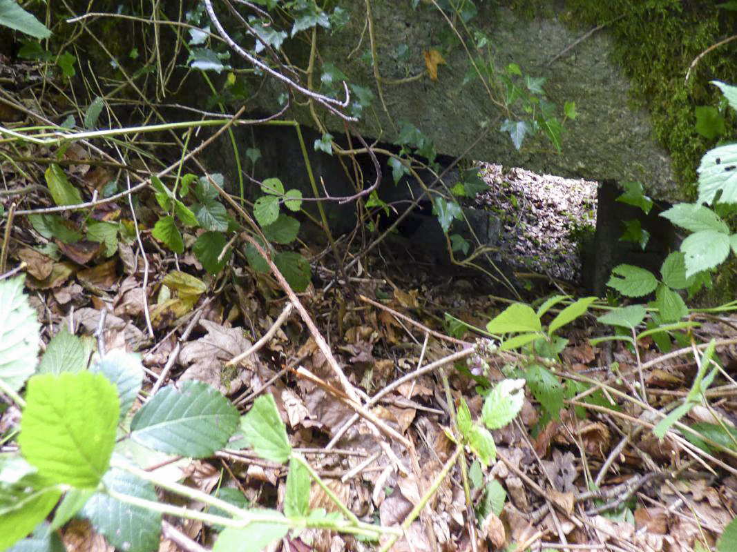 Ligne Maginot - BA30 - ROUTE DE CENDRON - (Blockhaus pour canon) -  - JMBrams