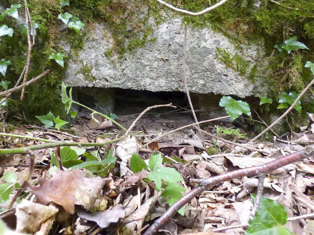 Ligne Maginot - BA30 - ROUTE DE CENDRON - (Blockhaus pour canon) -  - JMBrams