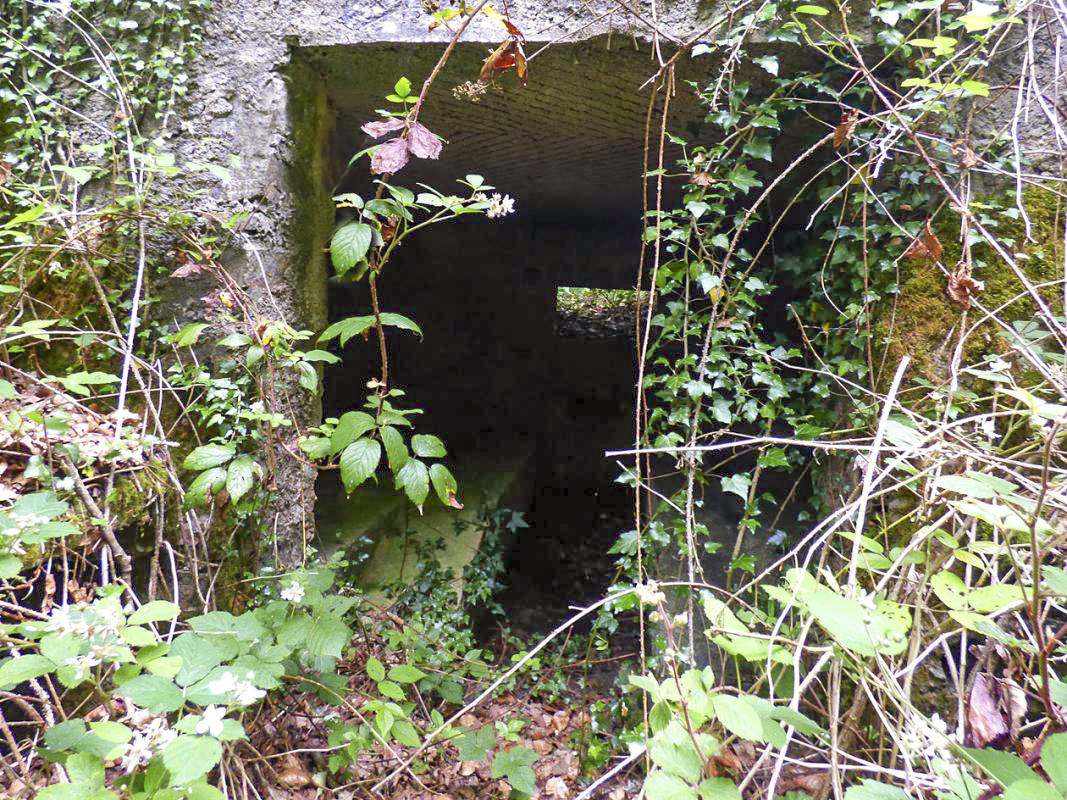 Ligne Maginot - BA30 - ROUTE DE CENDRON - (Blockhaus pour canon) -  - JMBrams