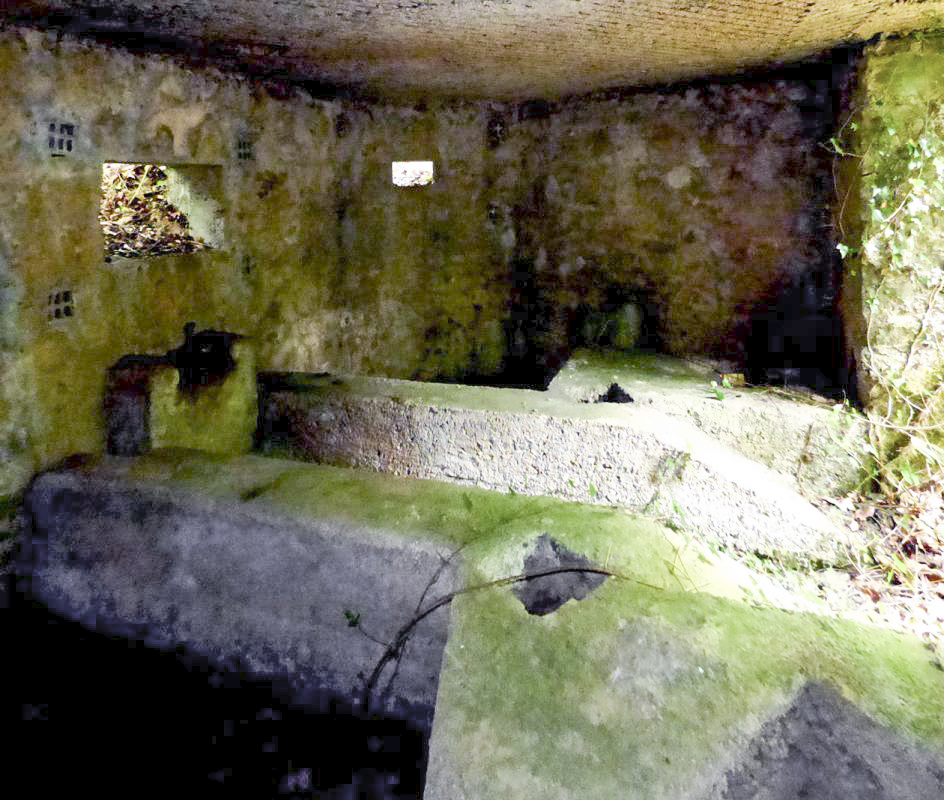 Ligne Maginot - BA30 - ROUTE DE CENDRON - (Blockhaus pour canon) -  - JMBrams