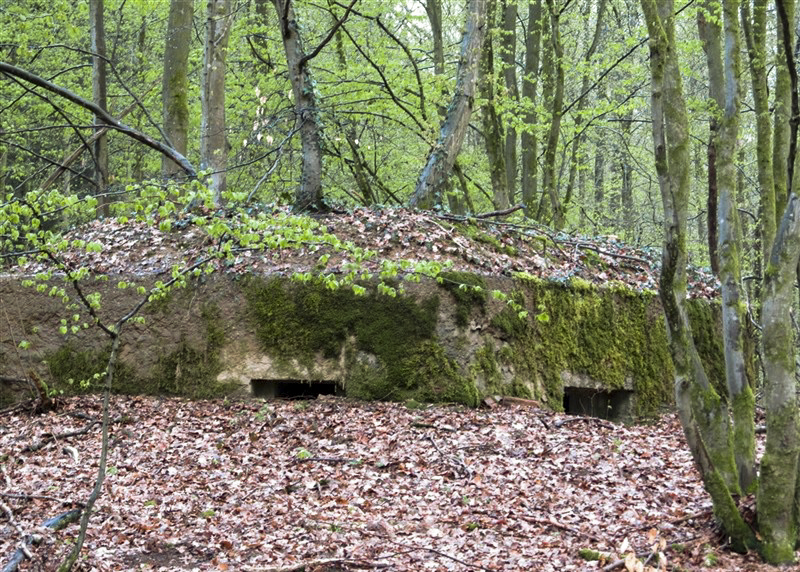Ligne Maginot - BA31 - ROUTE DES LOGETTES - (Blockhaus pour canon) -  - François MATHOT