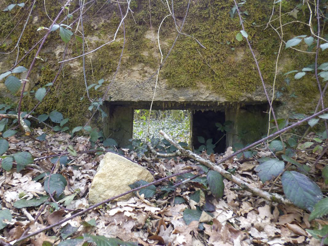 Ligne Maginot - BA31 - ROUTE DES LOGETTES - (Blockhaus pour canon) -  - JMBrams