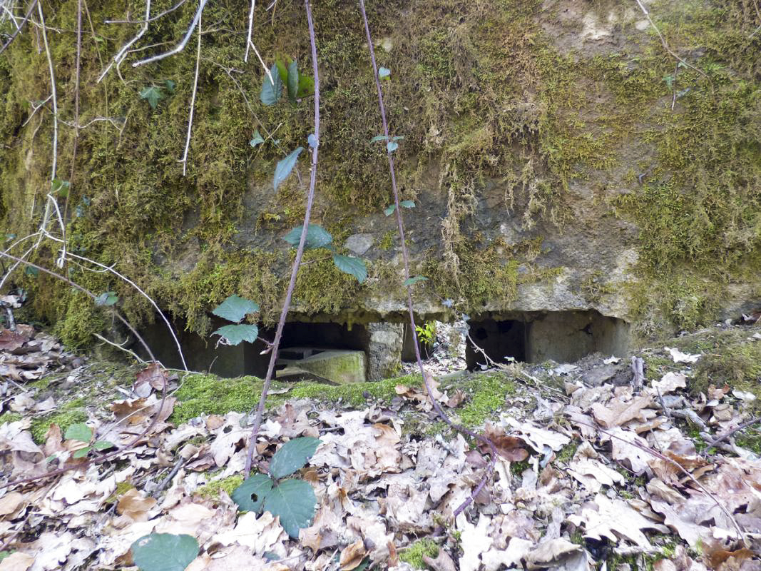 Ligne Maginot - BA31 - ROUTE DES LOGETTES - (Blockhaus pour canon) -  - JMBrams