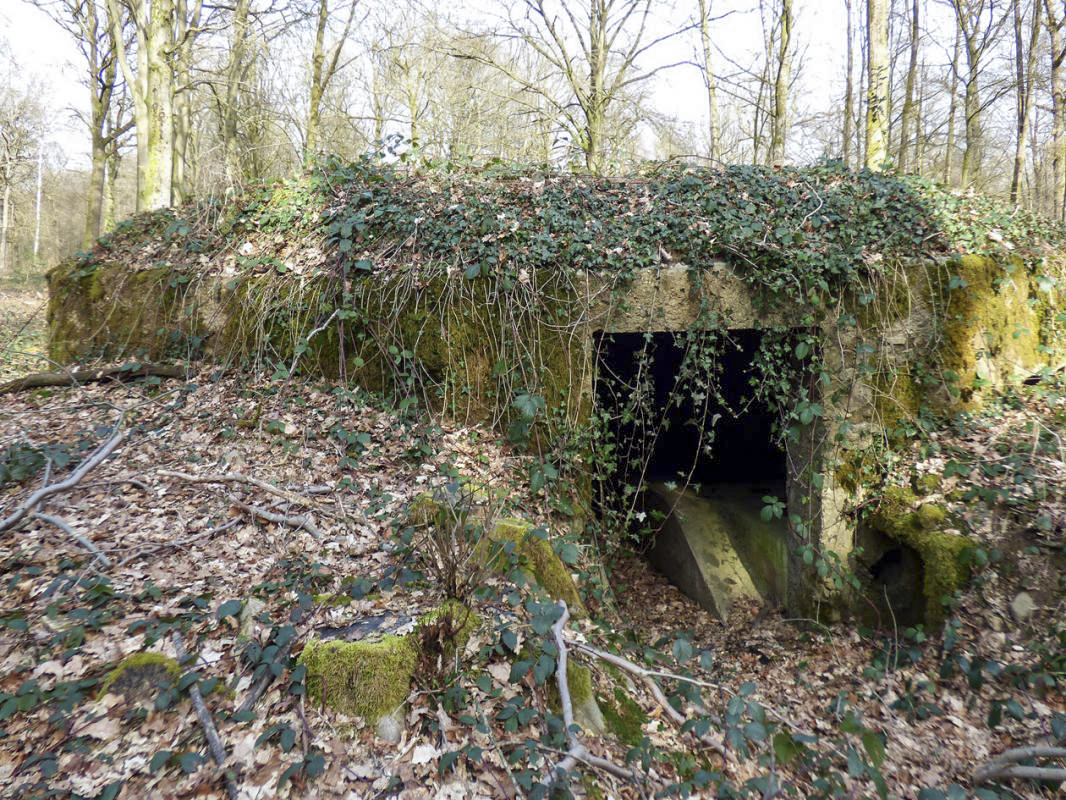 Ligne Maginot - BA31 - ROUTE DES LOGETTES - (Blockhaus pour canon) -  - JMBrams