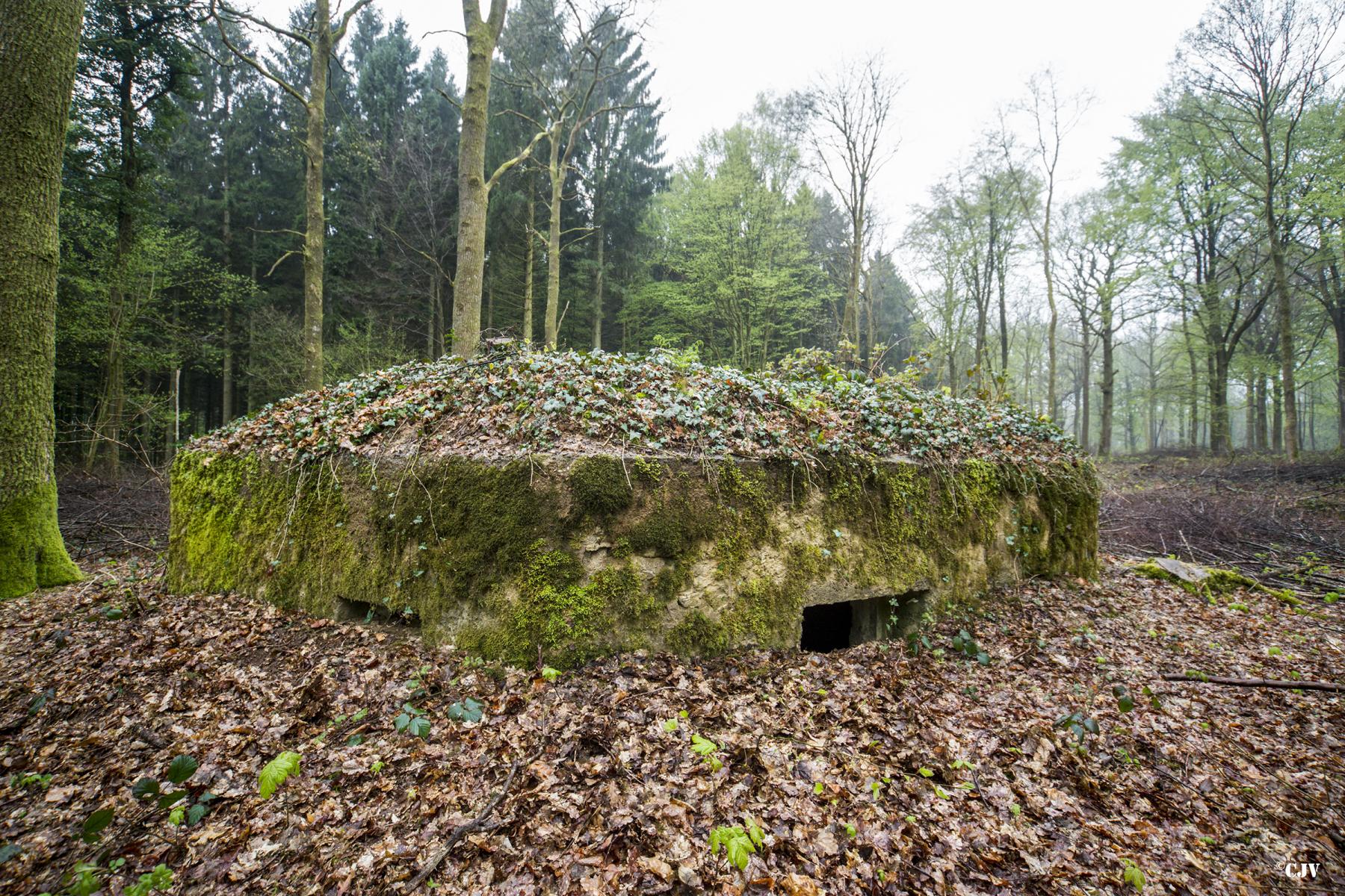 Ligne Maginot - BA31 - ROUTE DES LOGETTES - (Blockhaus pour canon) -  - Lia VERMEULEN