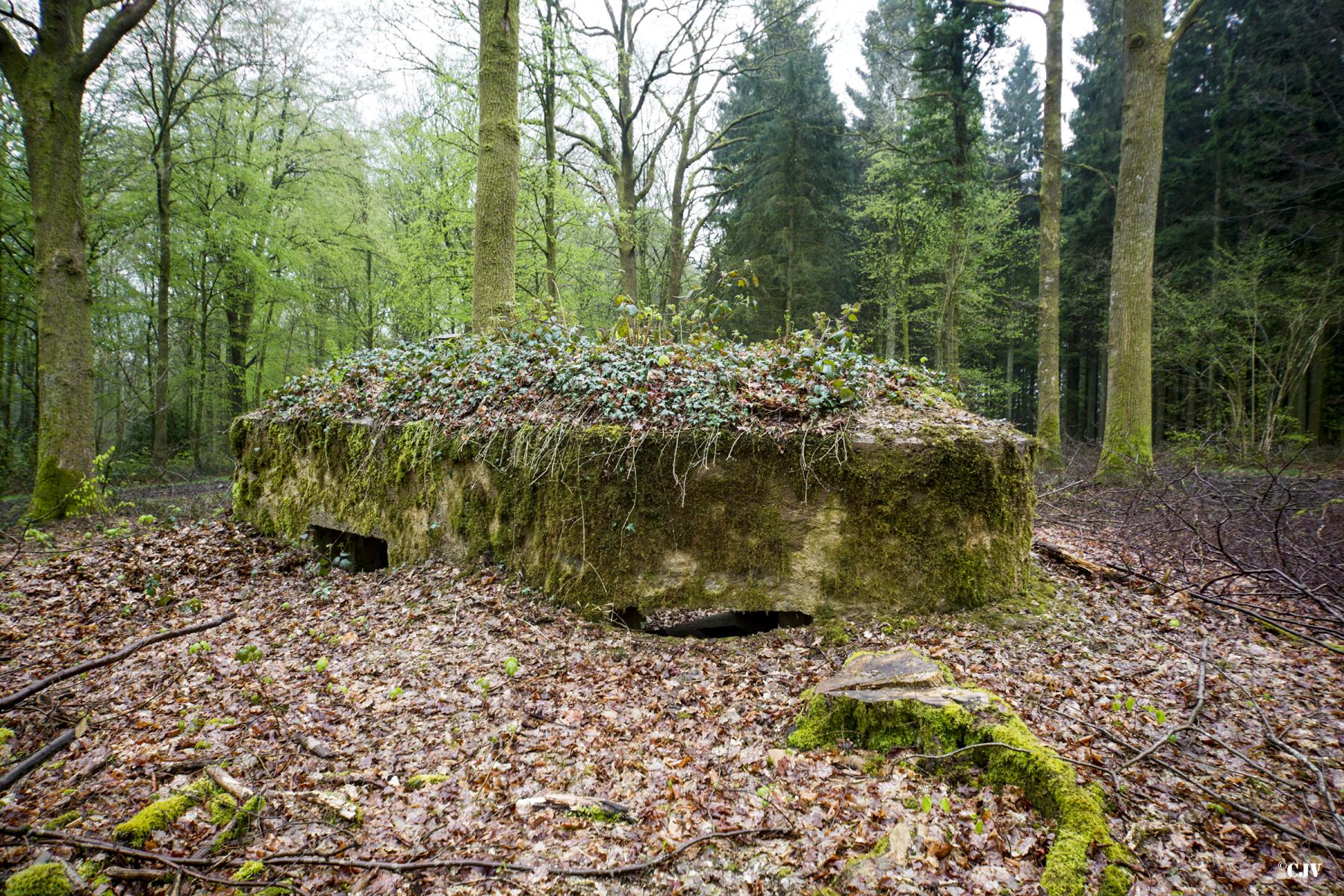 Ligne Maginot - BA31 - ROUTE DES LOGETTES - (Blockhaus pour canon) -  - Lia VERMEULEN