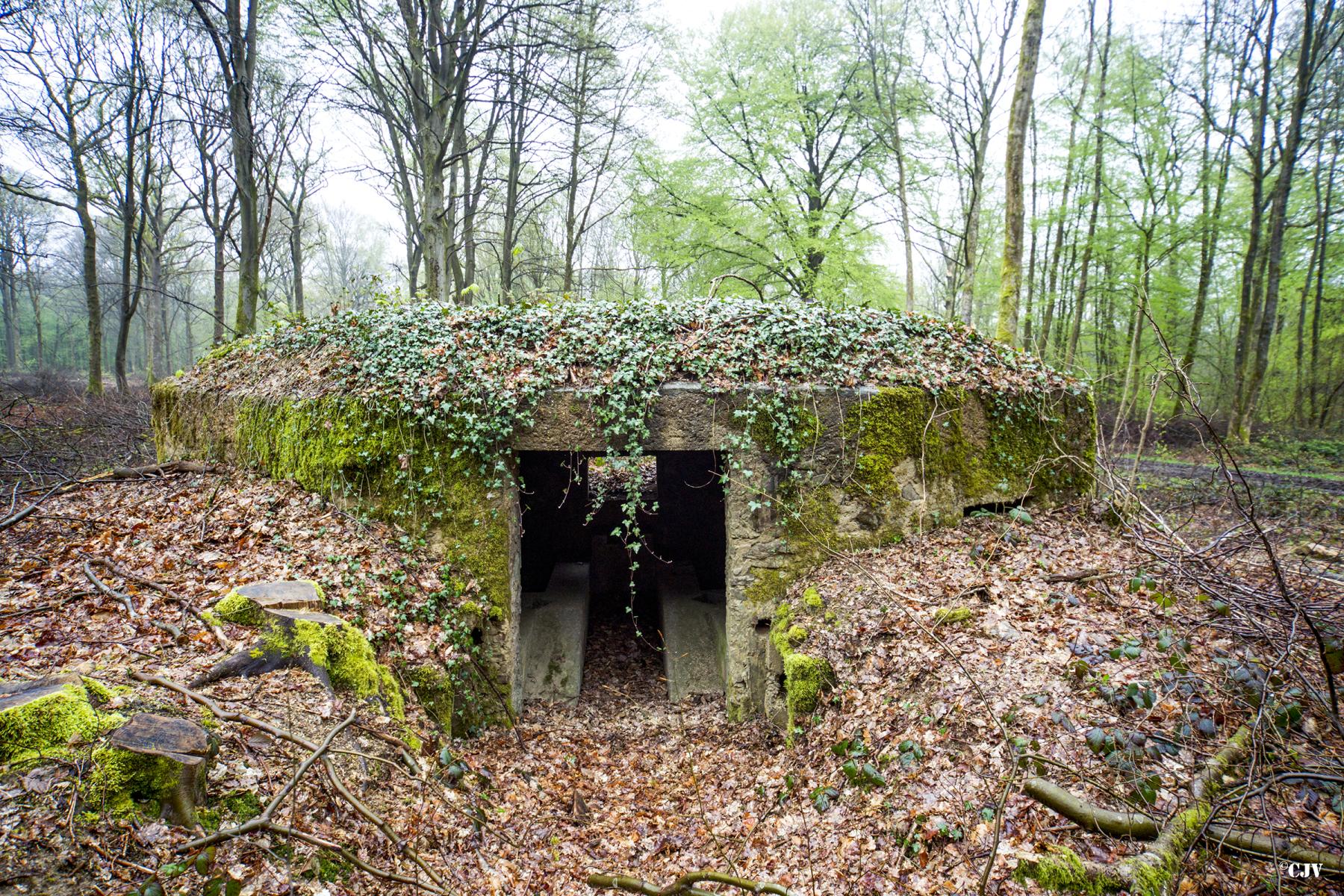 Ligne Maginot - BA31 - ROUTE DES LOGETTES - (Blockhaus pour canon) -  - Lia VERMEULEN