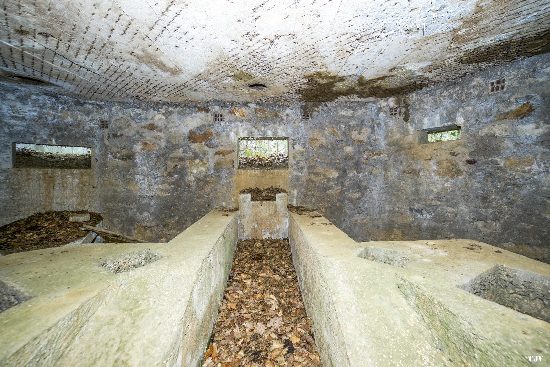 Ligne Maginot - BA31 - ROUTE DES LOGETTES - (Blockhaus pour canon) -  - Lia VERMEULEN