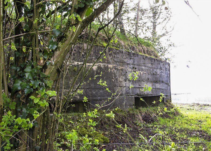 Ligne Maginot - BA33 - GRANDES FOSSES - (Blockhaus pour canon) -  - François MATHOT