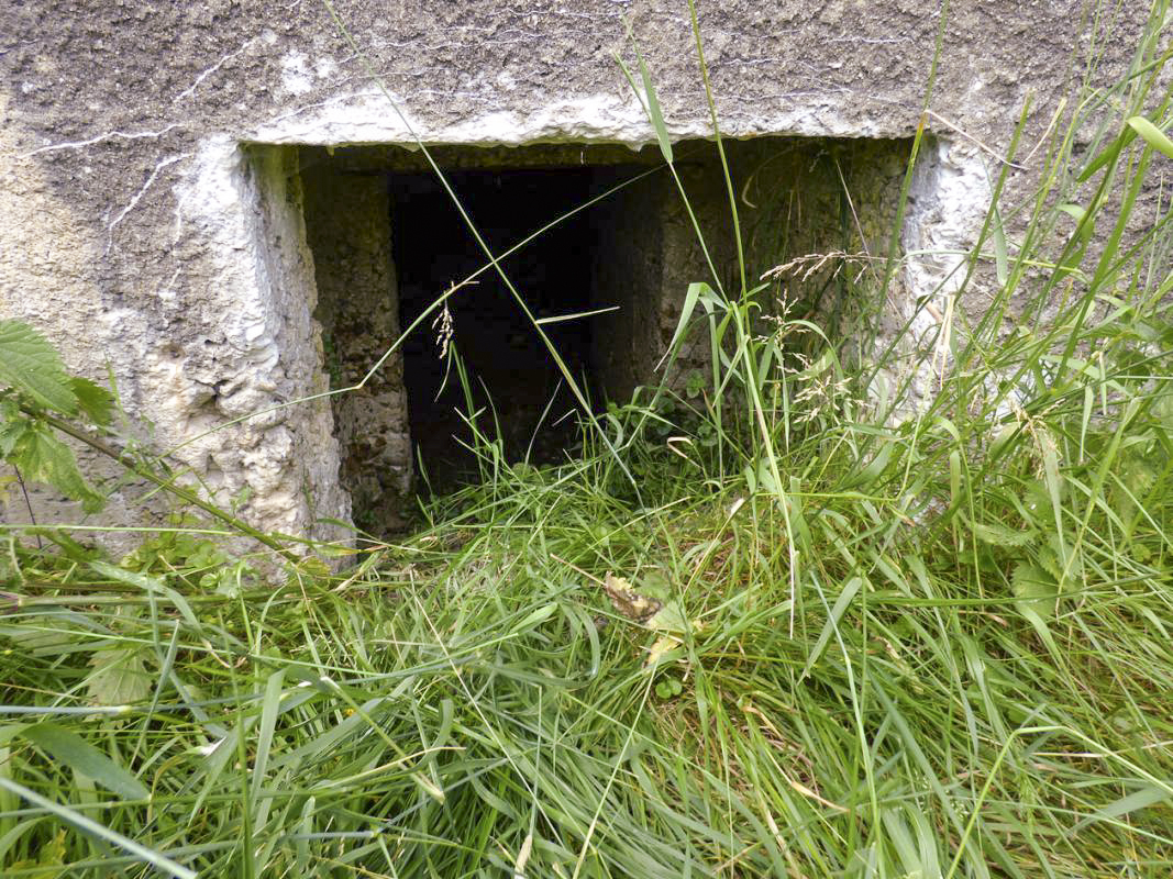 Ligne Maginot - BA33B - QUATRE BRAS - (Observatoire d'infanterie) - Entrée - JMBrams
